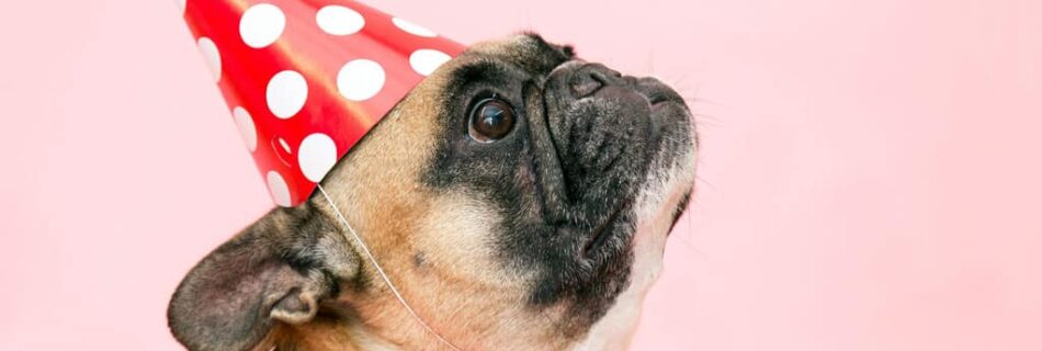 blog05 free img